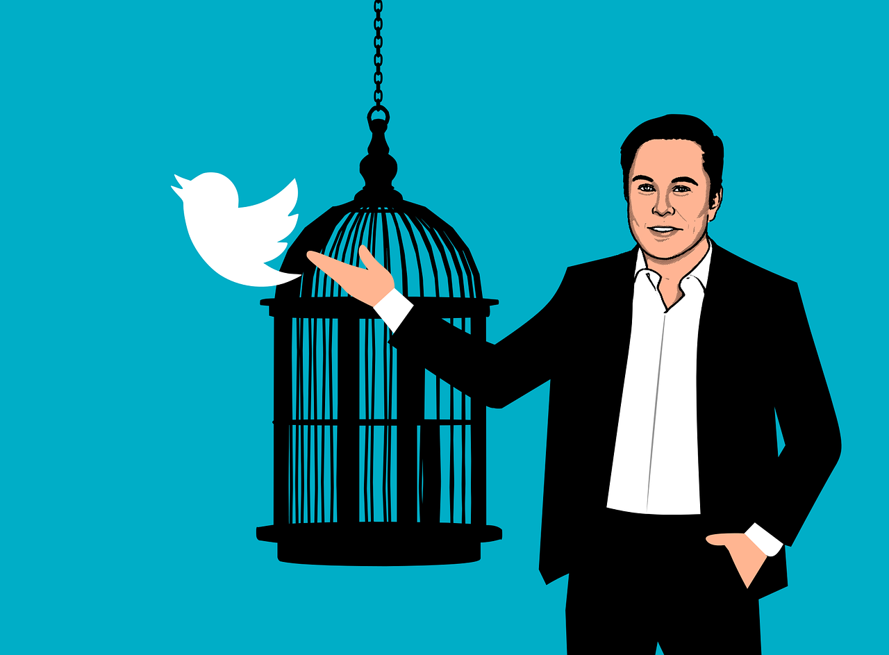 Player 1 (The Bird) Elon musk by Abdulrahman Al-ottafi on Dribbble